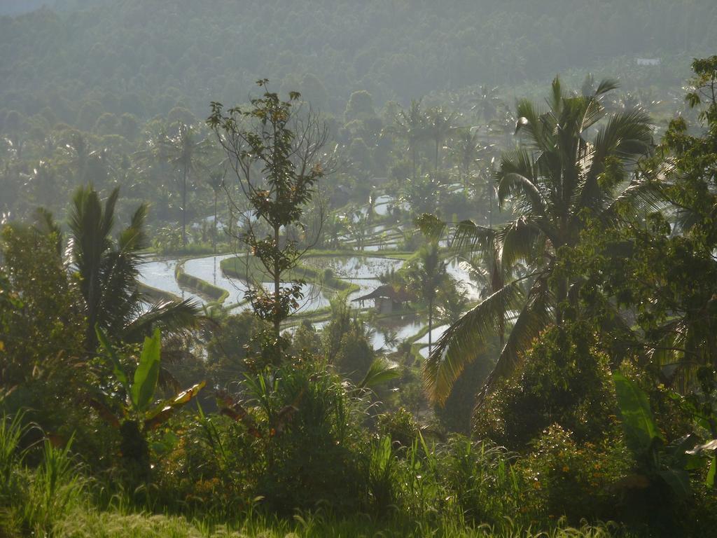 Lesong Hotel And Restaurant Munduk Exterior foto